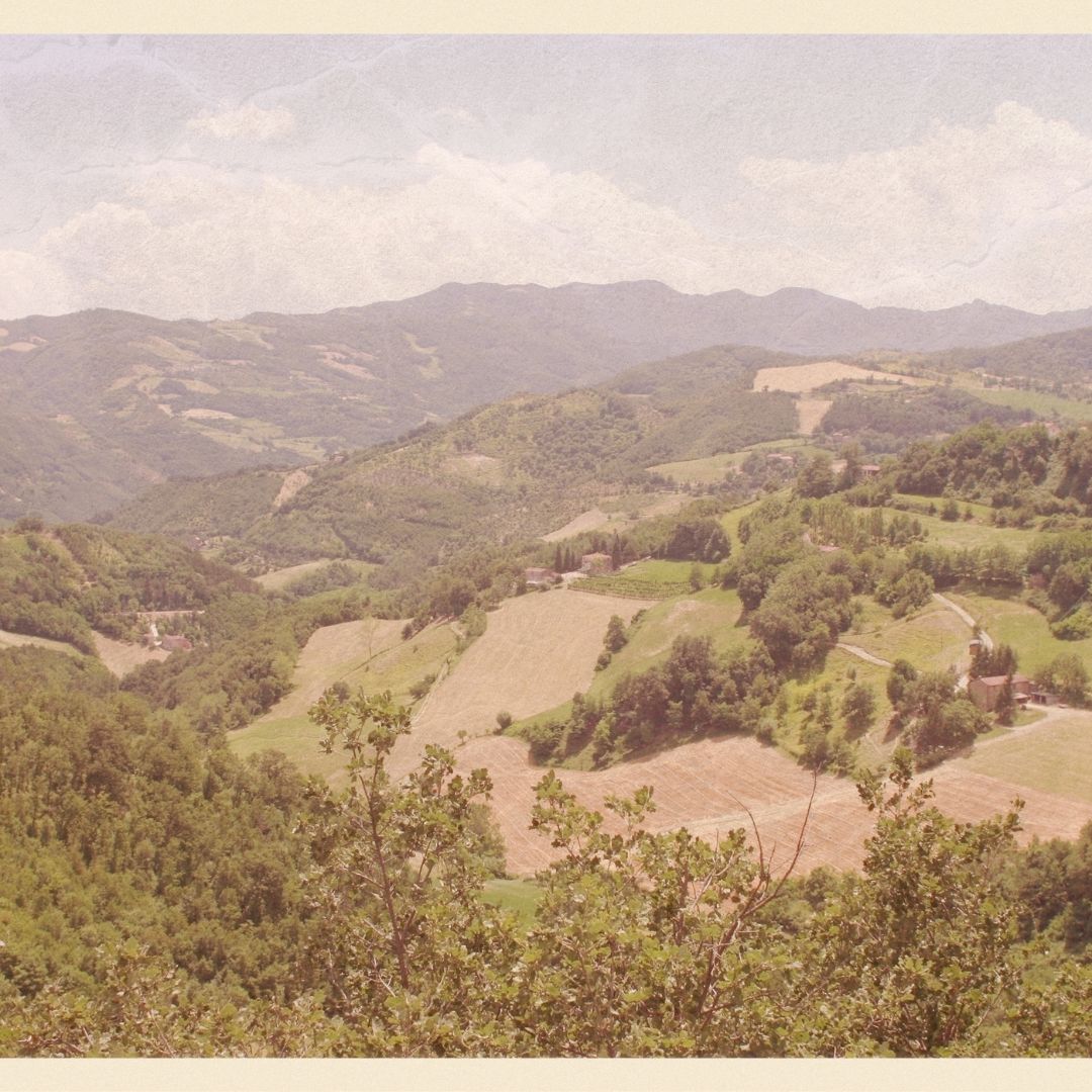 vintage postcard of a landscape