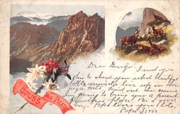 Pilatus Switzerland Gruss aus Scenic View Postal Used Vintage Postcard AA75831