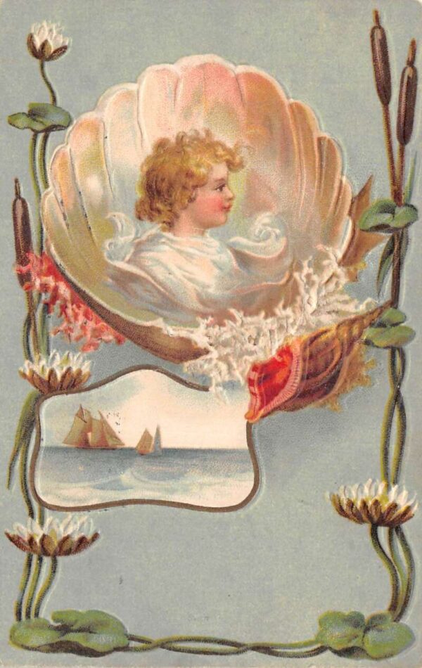 Child in Seashell Water Lilies Ships Shells Vintage Postcard AA75844