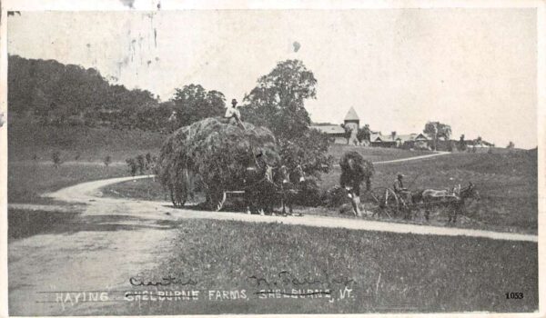 North Fairfax Vermont Haying, Curtis Farms, B/W Photo Print Vintage PC U14288