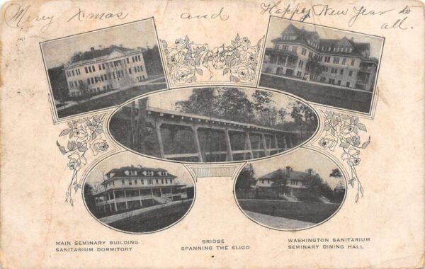 Washington DC Sanitarium Buildings Bridge Dining Hall Vintage Postcard AA75948