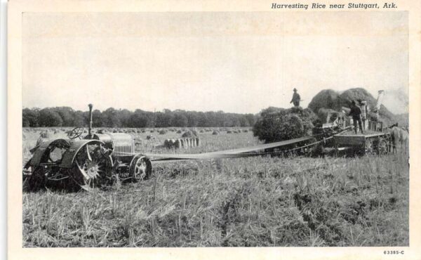 Stuttgart Arkansas Harvesting Rice Farming Scene Tractor Postcard AA76003