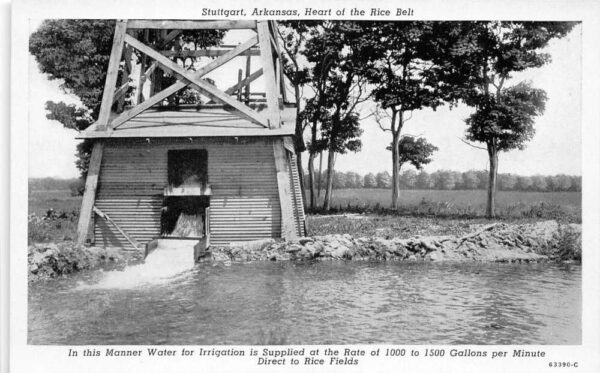 Stuttgart Arkansas Rice Farm Water Irrigation Vintage Postcard AA76005