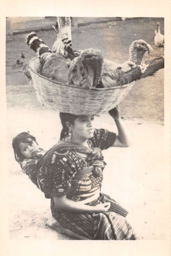 Woman Carrying Turkeys in Basket on Head Real Photo Vintage Postcard AA76190