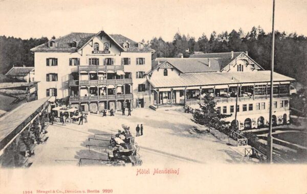 Mendelpass Italy Hotel Mendelhof Vintage Postcard AA76201