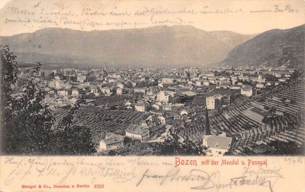 Bozen Bolzano Italy Mendel u Penegal Birds Eye View Vintage Postcard AA76206