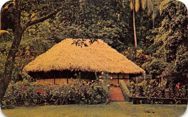 Tahiti Fare Tahitienne Hut Village Scene United Air Lines Postcard AA76210