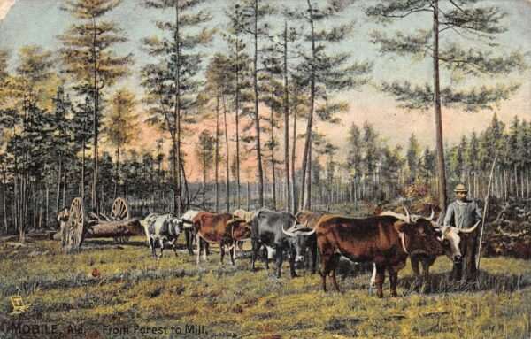 Mobile Alabama From Forest to Mill Ox Team Logging Scene Tuck Postcard AA76333