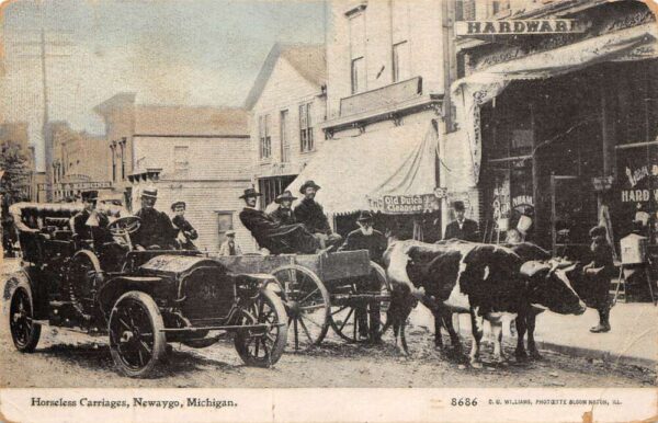 Newaygo Michigan Cow Carriage and Cat Automobile Vintage Postcard AA76356