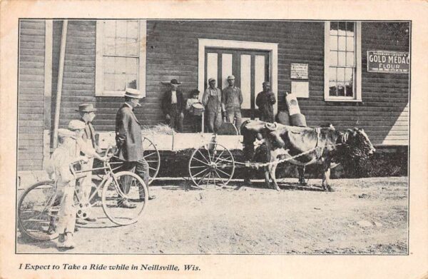 Neillsville Wisconsin Ox Wagon Bicycles Vintage Postcard AA76357