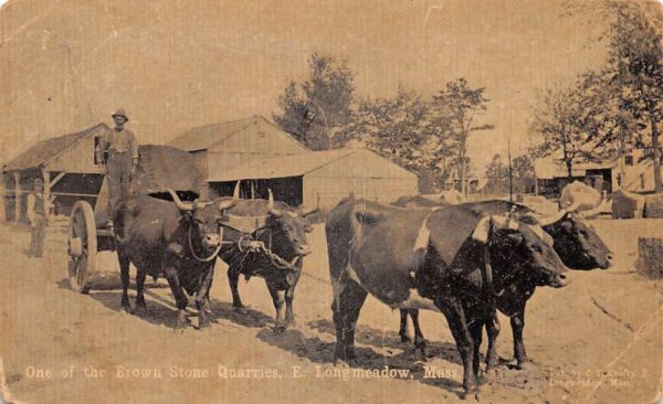 Longmeadow Massachussetts Brown Stone Quarries Ox Team Wagon Postcard AA76358