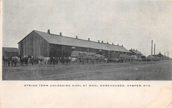 Casper Wyoming Wool Warehouses String Team Unloading Vintage Postcard AA76360