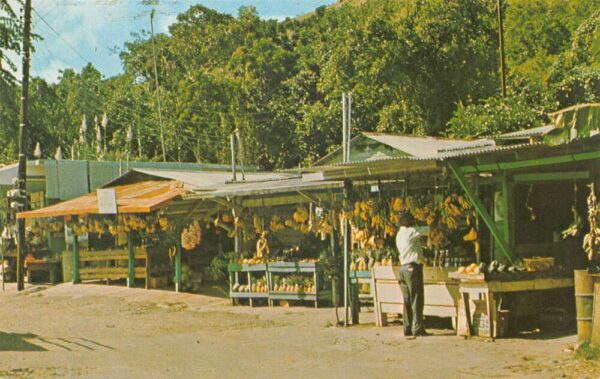 El Yunque Luquillo Beach Puerto Rico Pepes Place Fruit Stand Postcard AA76449