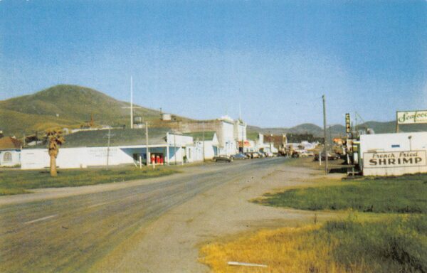 Cayucos California Town View, Photochrome Vintage Postcard U14685