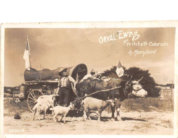 Orval Orville Ewing Traveler Covered Wagon in Maryland Real Photo PC AA76560