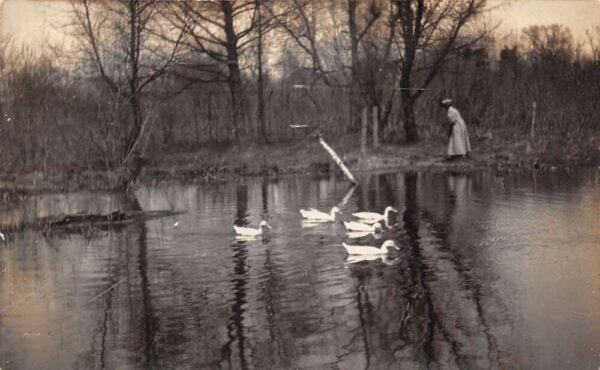 Rockford Illinois Park Scenic View Swans Real Photo Postcard AA76568