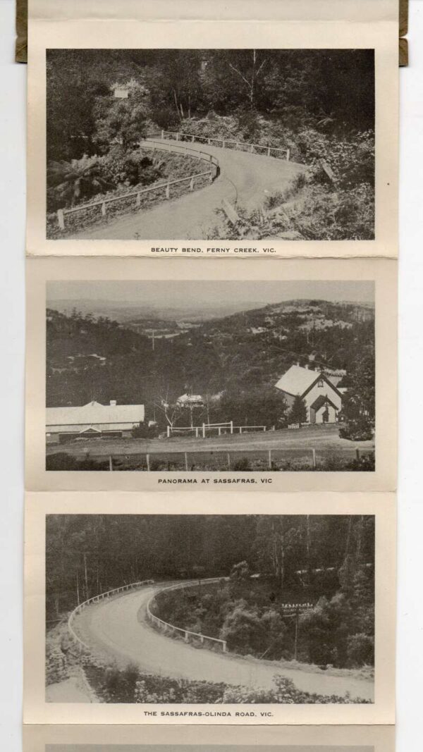 Australia Dandenong Ranges Rose Series Postcard Folder AA76585 - Image 3