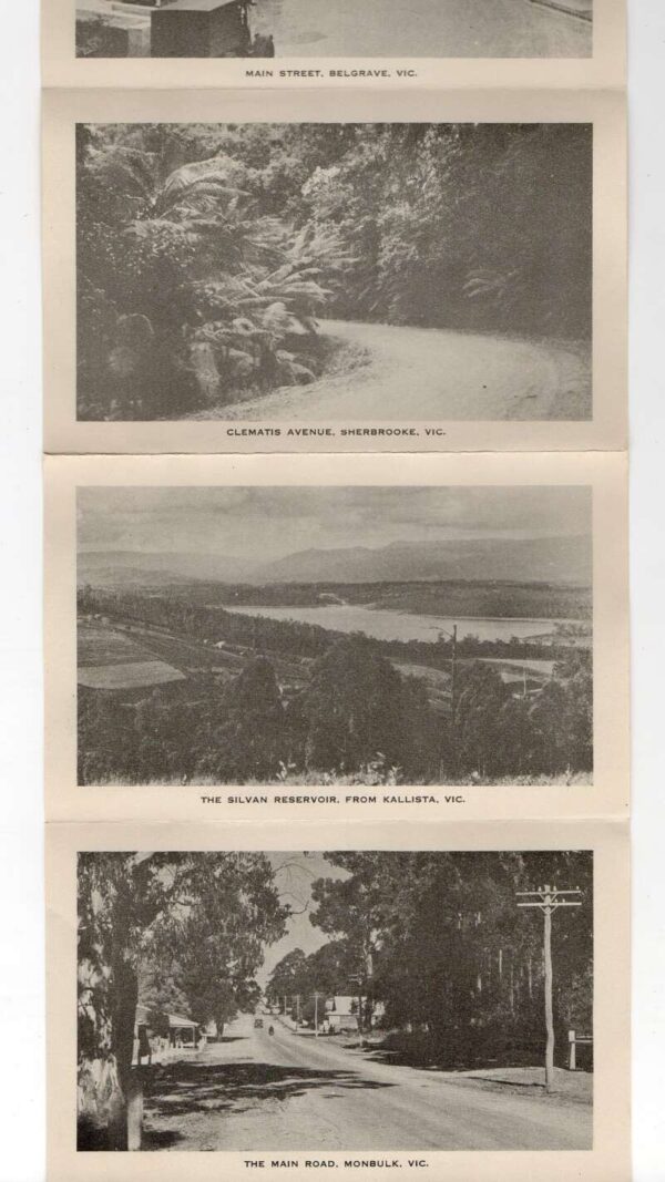 Australia Dandenong Ranges Rose Series Postcard Folder AA76585 - Image 4