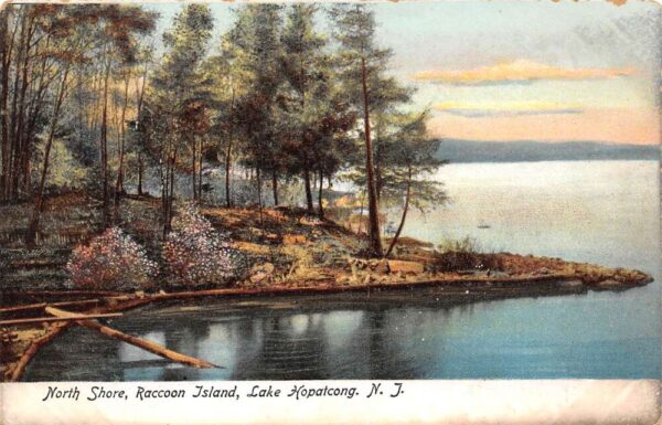 Lake Hopatcong New Jersey North Shore, Raccoon Island, Undivided Back, PC U14737