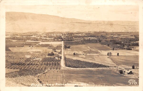 Naches Valley Washington Bird's Eye View Of Naches Valley, Vintage RPPC U14957