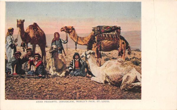 Jerusalem Palestine Arab Peasants Camels St Louis Worlds Fair Postcard AA76812