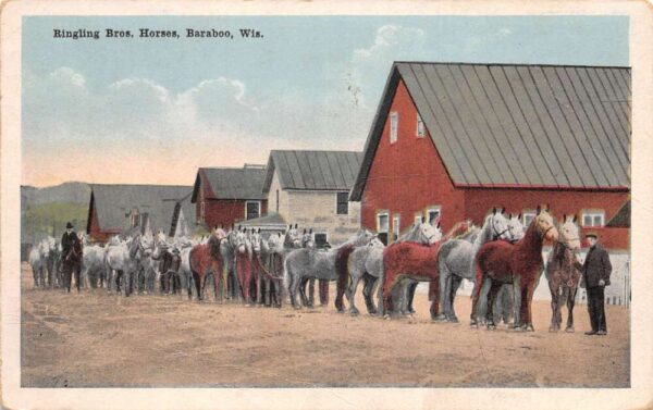 Baraboo Wisconsin Ringling Bros Circus Horses Vintage Postcard AA76855