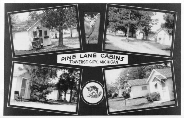 Traverse City Michigan Pine Lane Cabins Real Photo Vintage Postcard AA76862