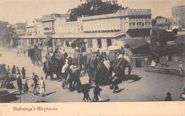 Maharaja's Elephants Street Scene Vintage Postcard AA76869