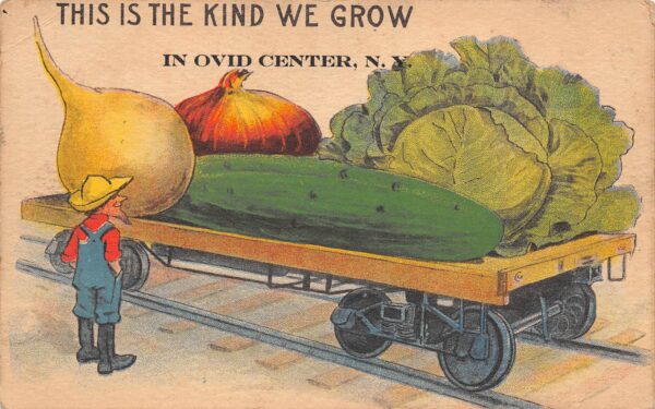 Ovid Center New York Exaggerated Vegetables On Train, Vintage Postcard U15079