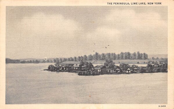 Lime Lake New York The Peninsula, B/W Linen Vintage Postcard U15089