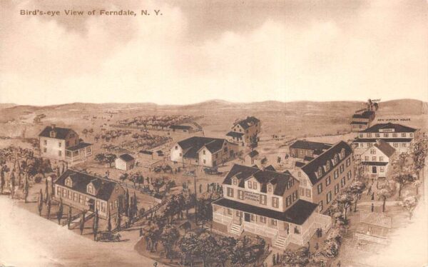 Ferndale New York Birds Eye View Vintage Postcard AA77622