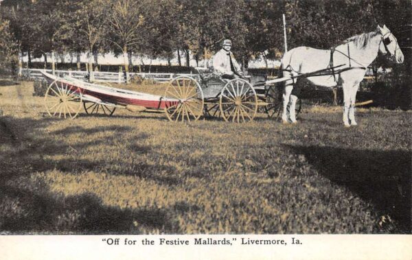 Livermore Iowa Festive Mallards Horse Carriage Towing Boat Postcard AA79482