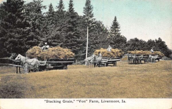 Livermore Iowa Von Farm Stacking Grain Vintage Postcard AA79484