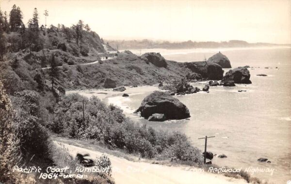 Redwood Highway California Pacific Coast Scenic View Real Photo PC AA82422