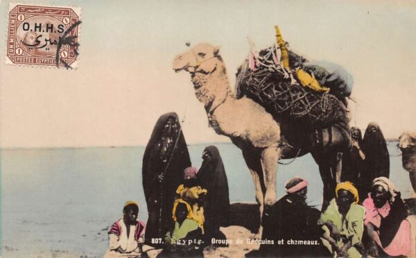 Egypt Bedouins and Camels Tinted Real Photo Vintage Postcard AA81943