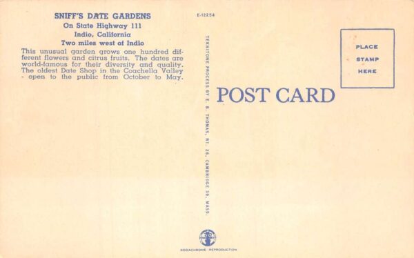 Indio California Sniff's Date Gardens Fruit and Banana Trees Postcard AA93407 - Image 2