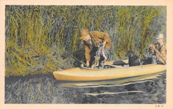 Duck Hunting Hunters with Dogs in Canoe Vintage Postcard AA93414