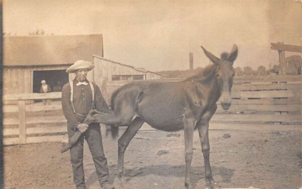 Coldwater Michigan Farm Scene Man with Horse Real Photo Postcard AA93458