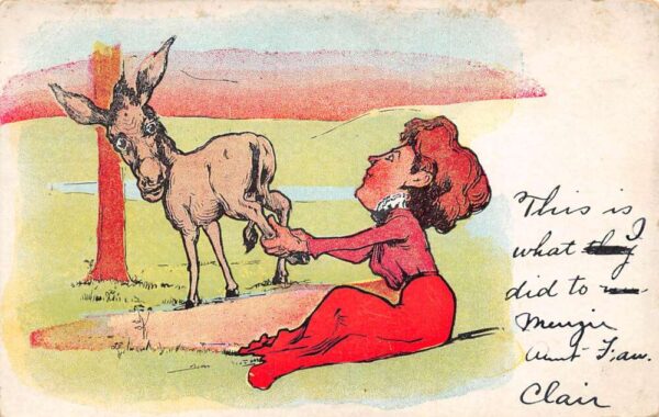 Caricature Woman pulling Donkey Leg Vintage Postcard AA93519