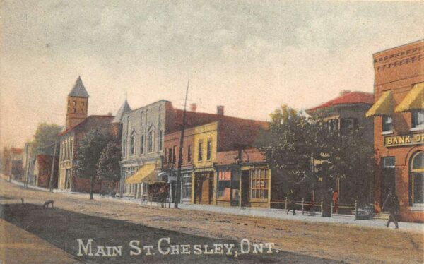 Chesley Ontario Canada Main Street Vintage Postcard AA93567