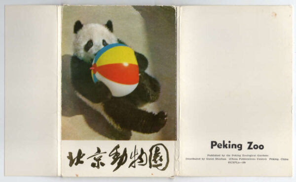 Set of 14 Peking China Peeking Zoo Animals Vintage Postcard Pack AA93605 - Image 3