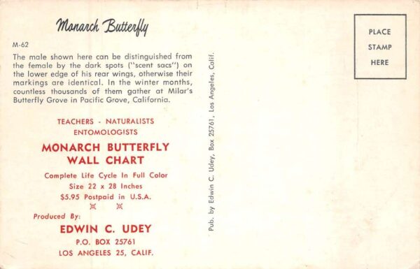 Pacific Grove California Milar's Butterfly Grove Monarch Postcard AA93637 - Image 2