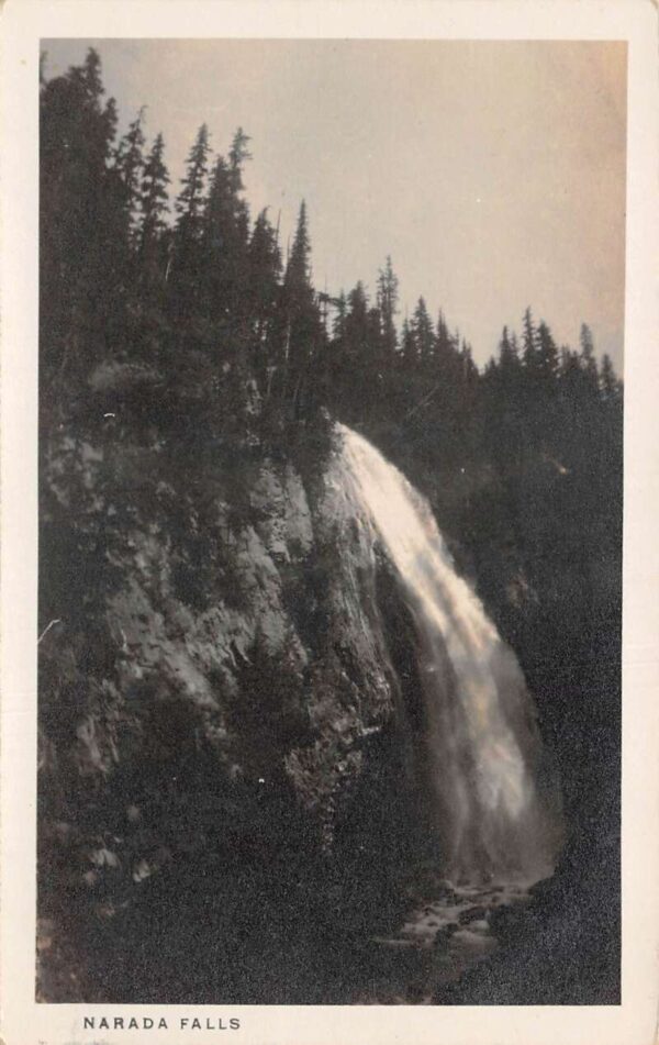 Mount Rainer Park Washington Narada Falls Real Photo Vintage Postcard AA93644