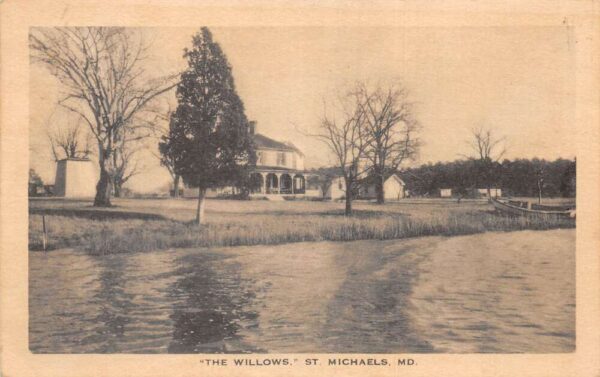 St Michaels Maryland The Willows Scenic View Vintage Postcard AA93680