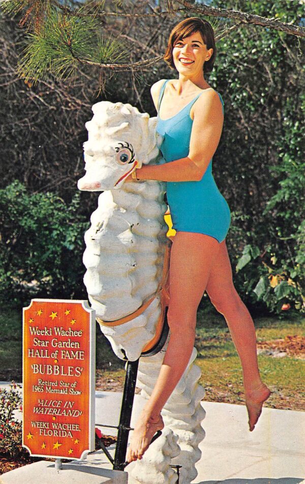 Weeki Wachee Florida "Mermaid" With Bubbles The Seahorse, Vintage PC U22055