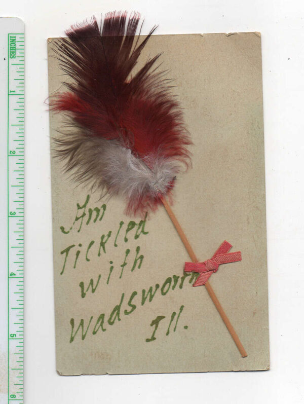 Wadsworth Illinois Greetings Feather Add On Novelty Postcard AA94002