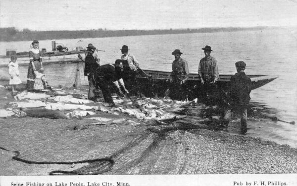 Lake City Minnesota Seine Fishing on Lake Pepin Fisherman Boats PC AA94467