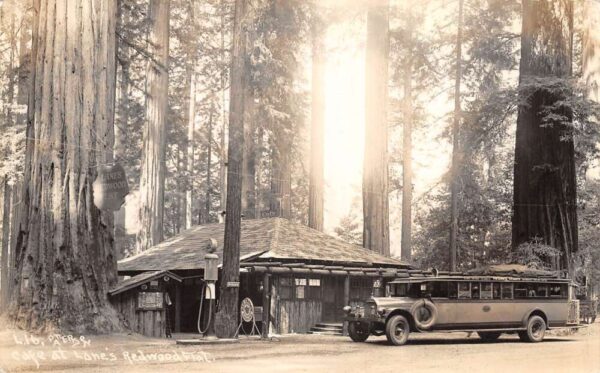 Lane's Redwood Flat California Cafe Gas Station Bus Real Photo Postcard AA94648