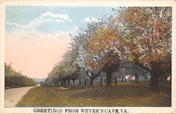 Wyer's Cave Virginia Greetings Scenic Road View Vintage Postcard AA94660