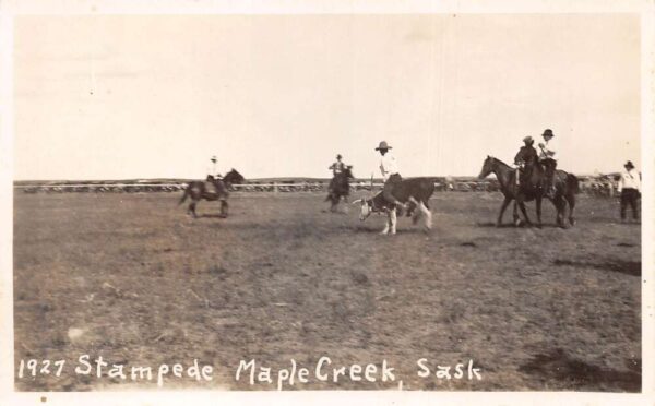 Maple Creek Saskatchewan Canada 1927 Stampede Rodeo Bull Real Photo PC AA94871